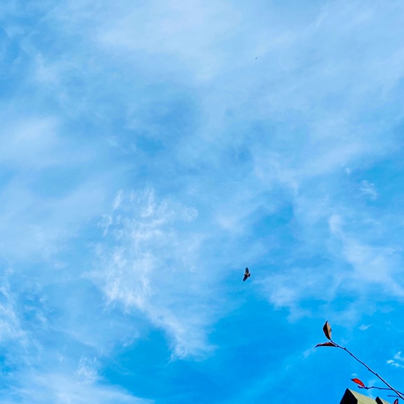 Meet your Posher, Kim - Picture 1 of 1